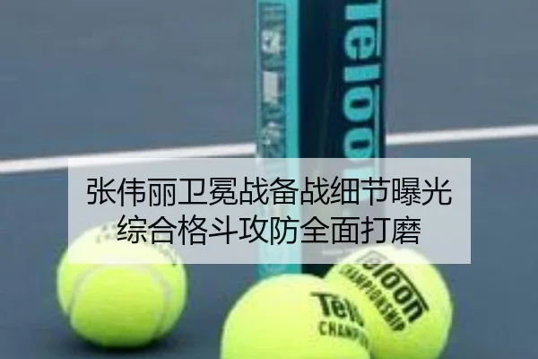 张伟丽卫冕战备战细节曝光 综合格斗攻防全面打磨