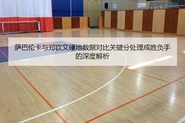 萨巴伦卡与郑钦文硬地数据对比关键分处理成胜负手的深度解析